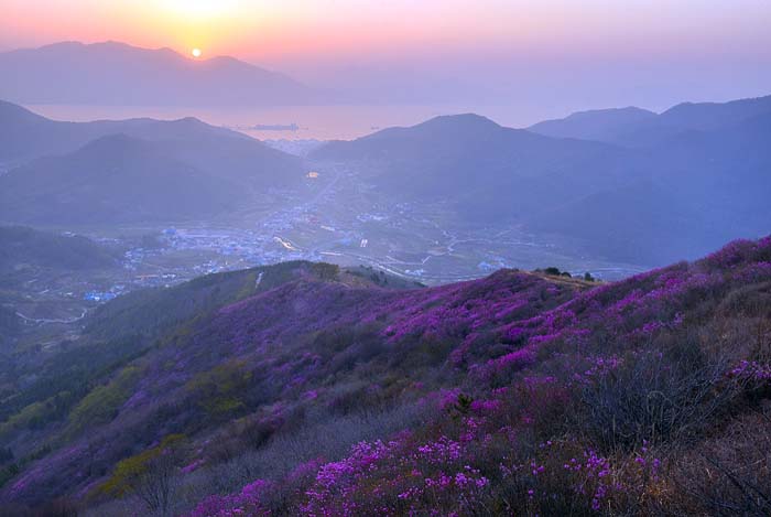 여수-영취산
