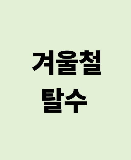 겨울 탈수 증상과 예방