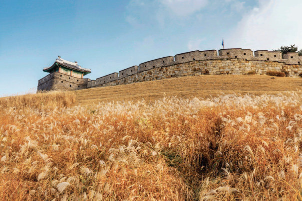 수원 화성행궁 억새