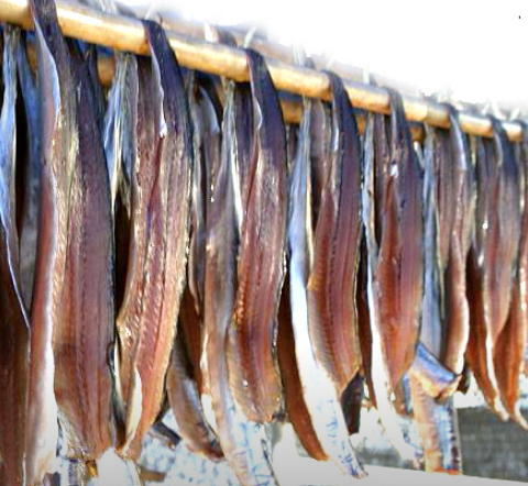 포항 과메기 덕장