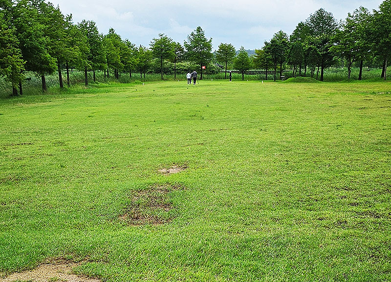 함평파크골프장, 함평엑스포공원나비파크골프장