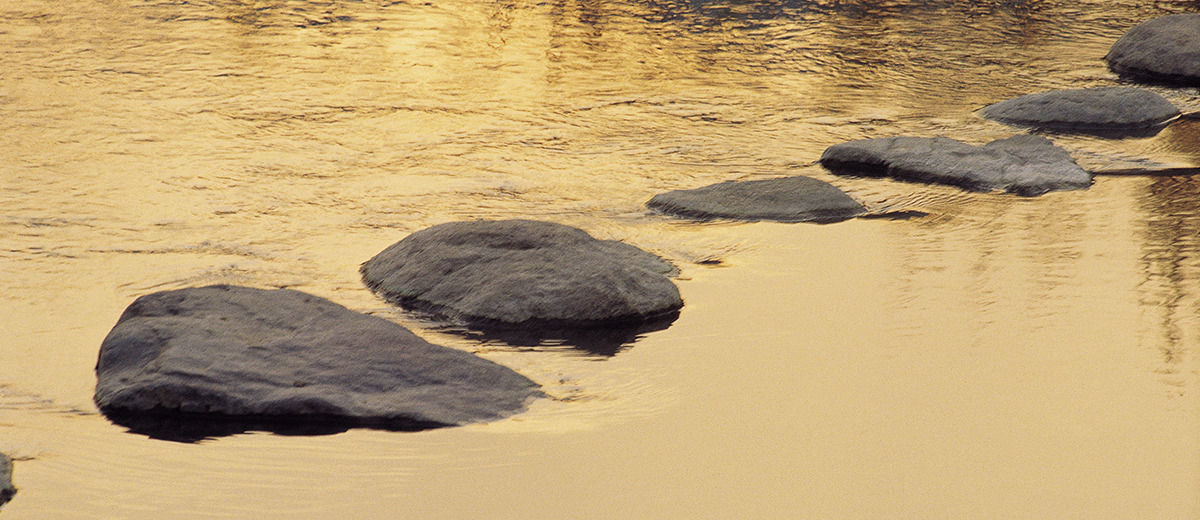 신안 퍼플섬 풍경사진