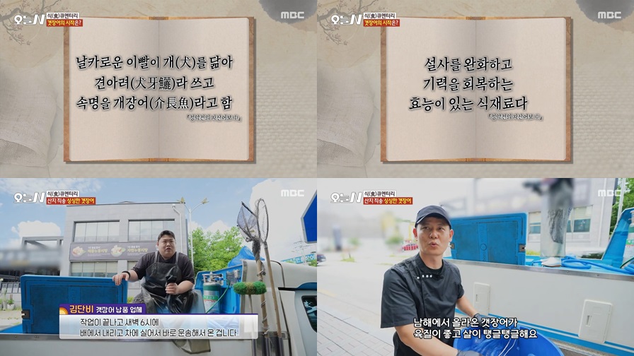 여름철 대표 보양식 갯장어 샤부샤부