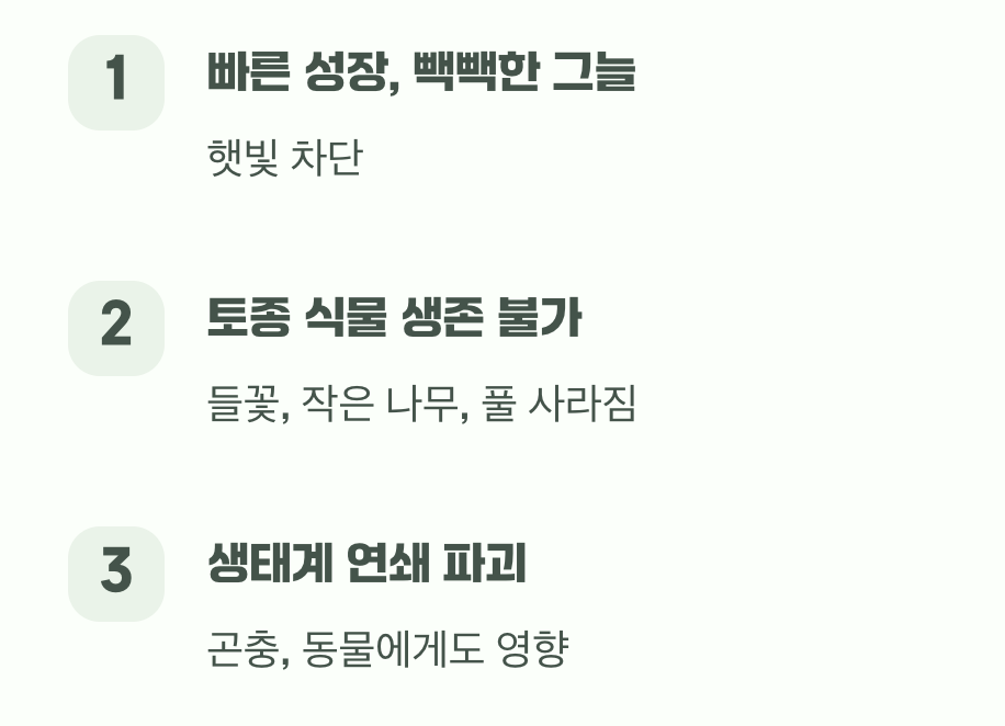 우리 식물들의 터전을 빼앗는 침입자