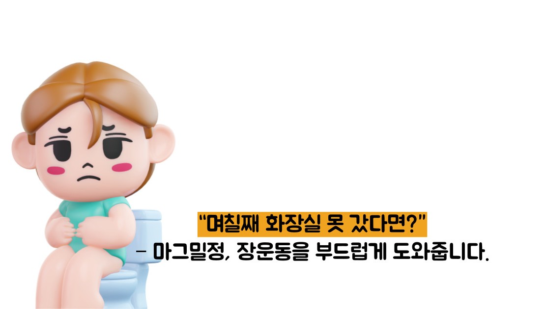 마그밀정 효능 부작용