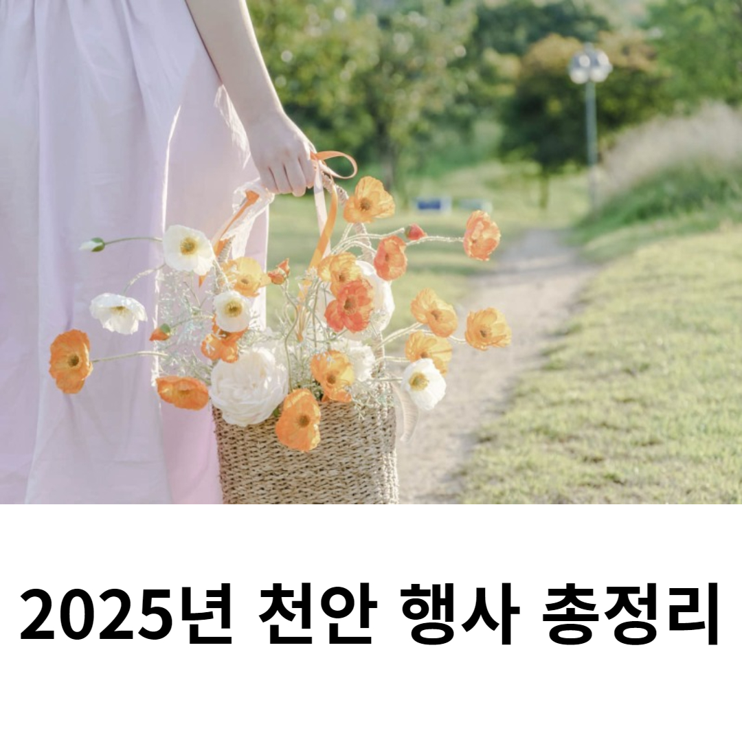 천안시 행사 일정표 관련 사진