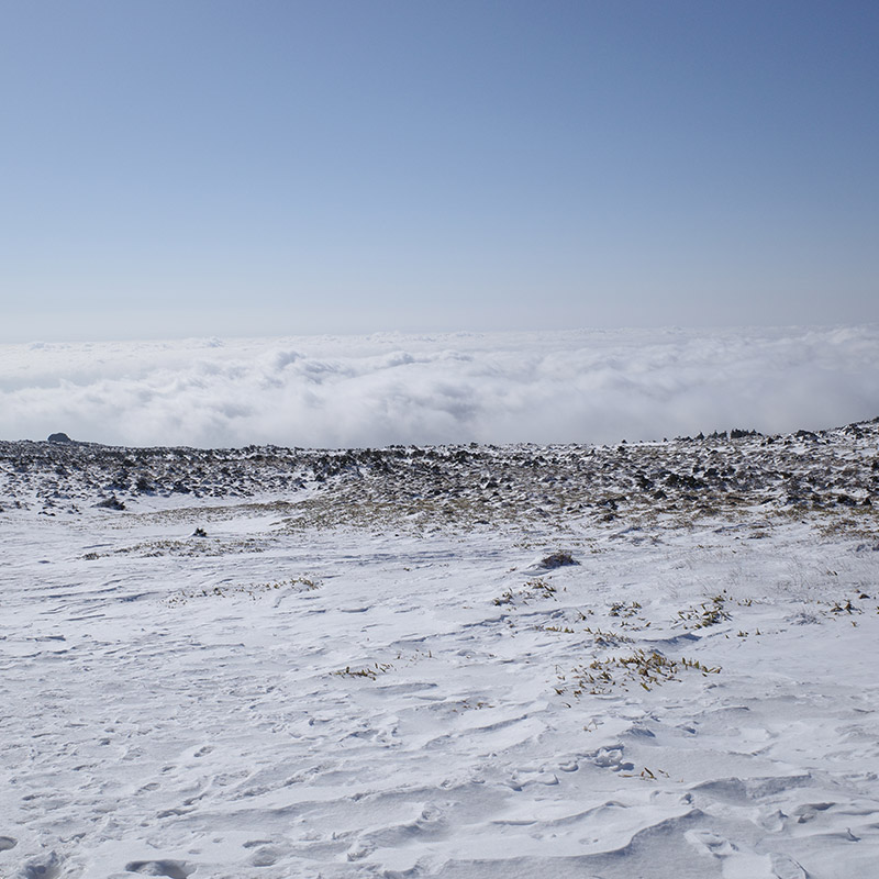 제주도 한라산 영실코스