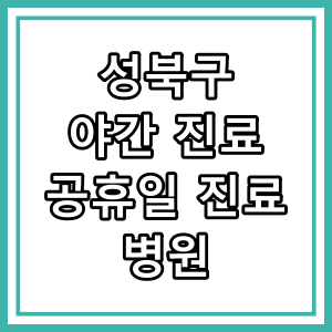 성북구 야간 진료 병원과 진료시간