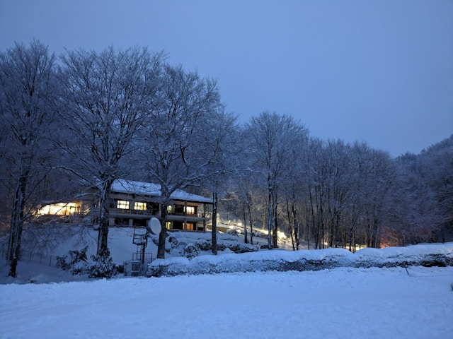 주말 대설 예상 지역 미리 확인하는 필수 가이드
