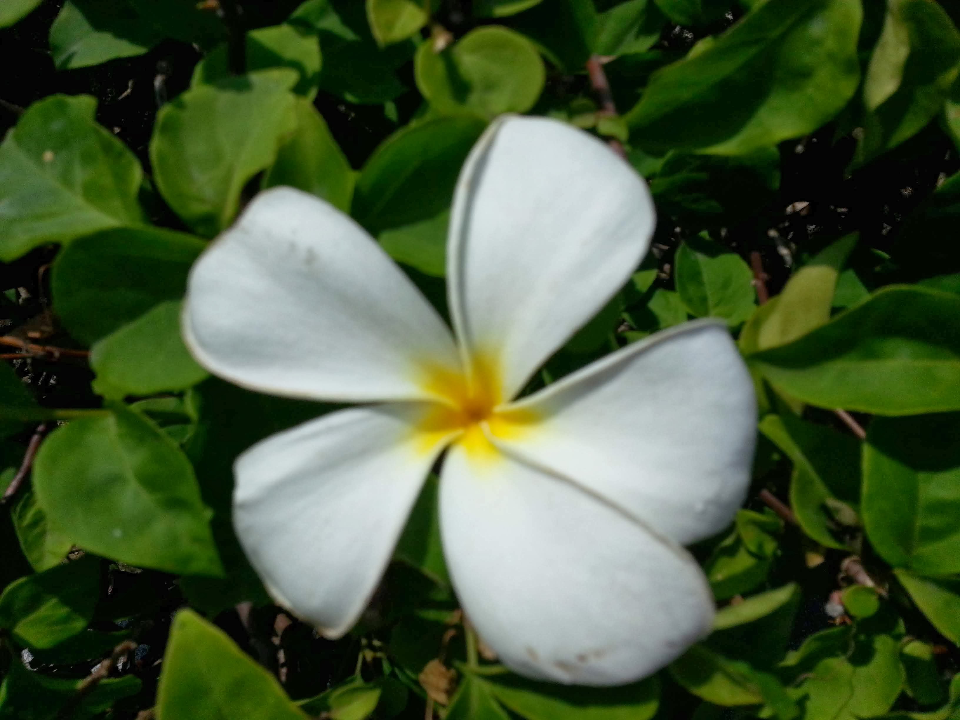 한국인이 가장 사랑한 해외여행지 TOP 10 분석 관련사진