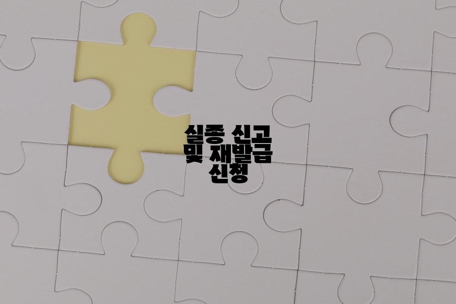 실종 신고 및 재발급 신청