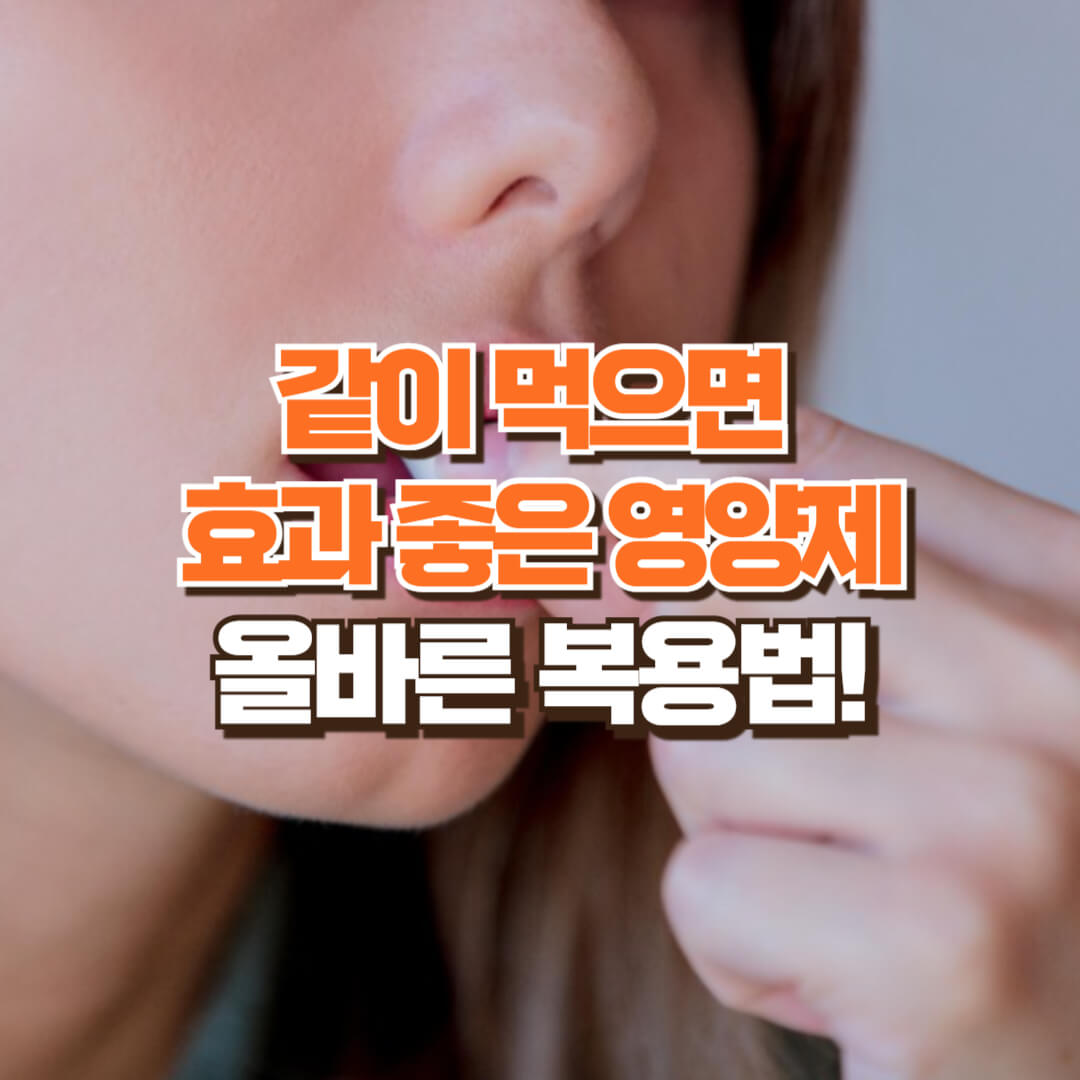 같이 먹으면 좋은 영양제