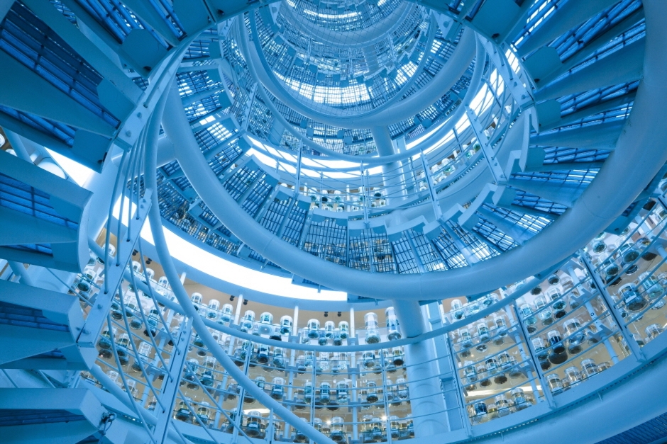 서천 가볼만한곳 베스트10