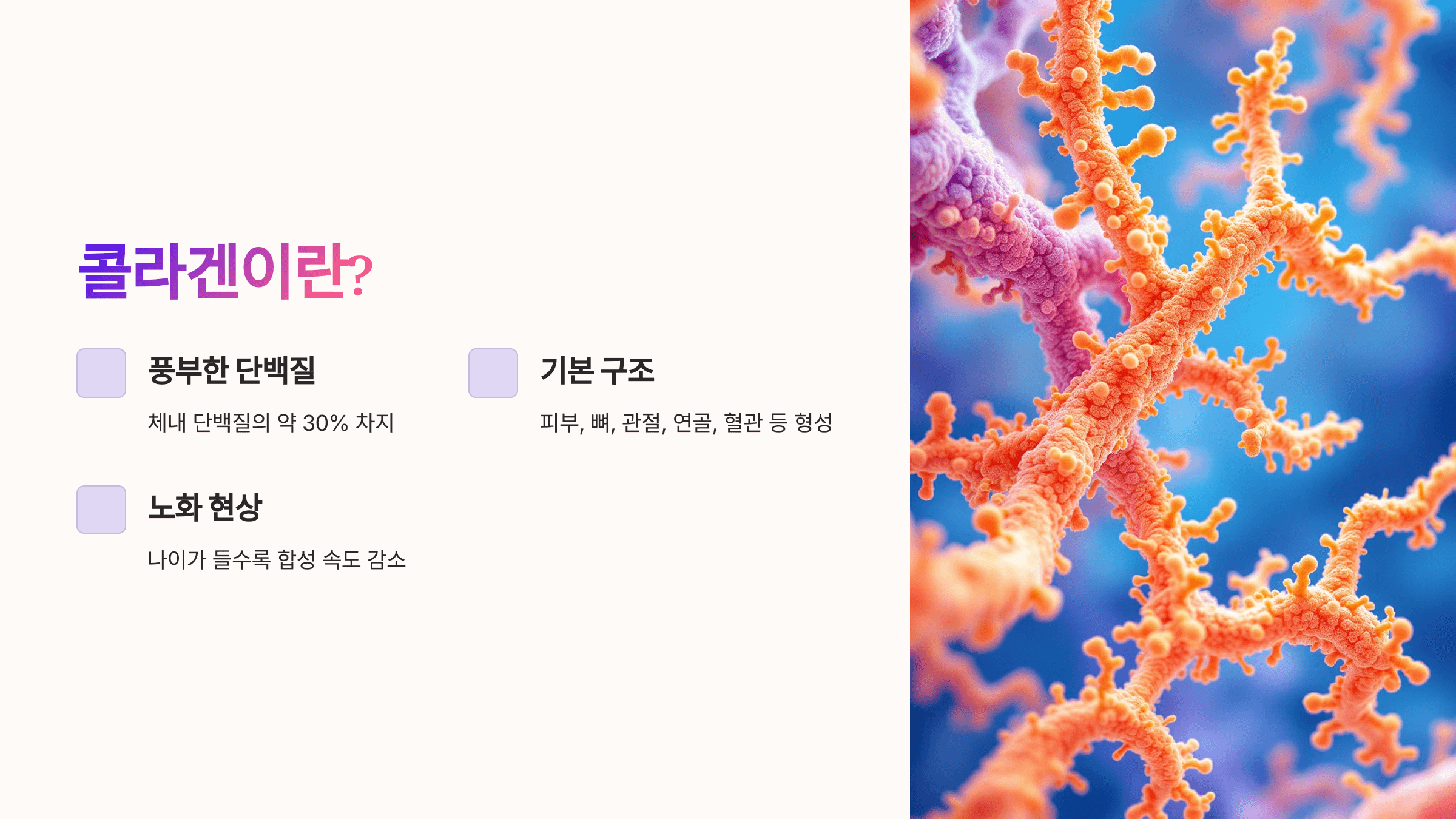 콜라겐 많은 음식 사진입니다.