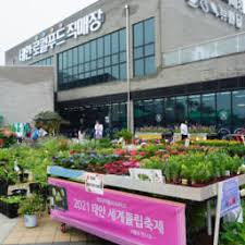 겨울 안면도 꽃지해변 일몰부터 빛축제 2박 3일 코스 가이드