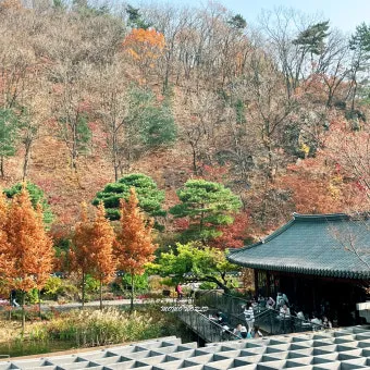서울근교 가볼만한곳 베스트 10 추천 여행지_22
