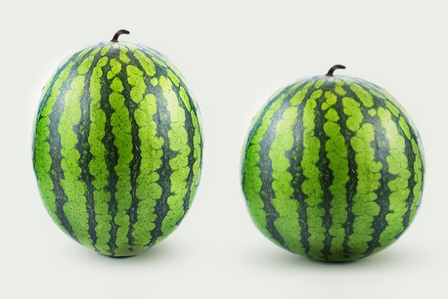 맛있는 수박 고르는법, 잘익은 수박 고르는법, 암수박 숫수박