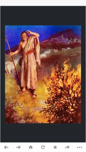 탈출기 3장 시내산 불타는 떨기나무 속에 나타나신 하느님_3