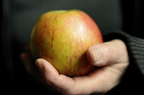 다이어트 간식 추천: 저칼로리 간식으로 다이어트 성공하기