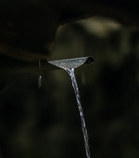 일상 배상 책임 보험 누수