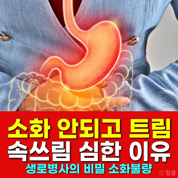 소화 안되고 트림 속쓰림 기능성소화불량 생로병사의비밀