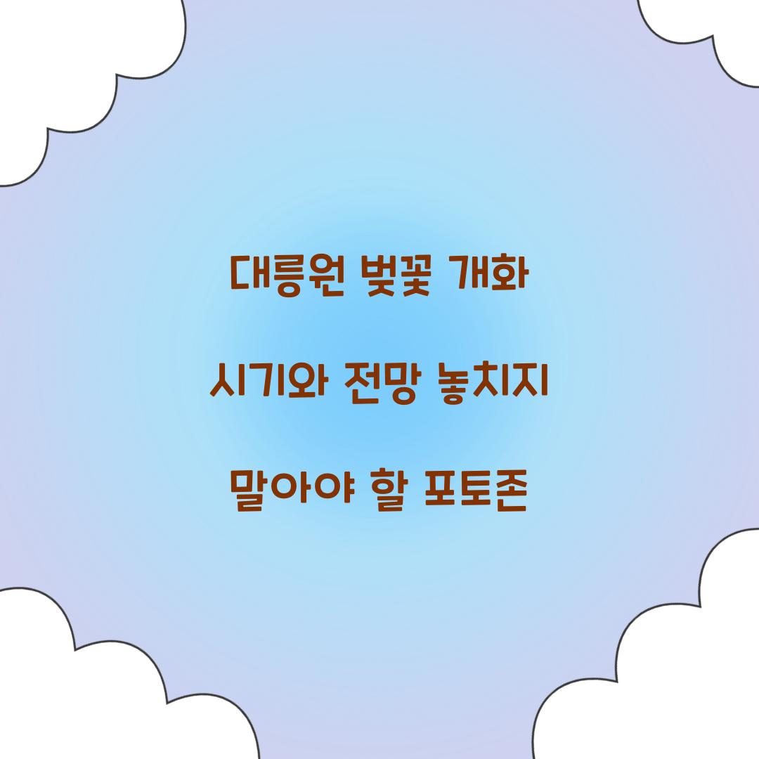 대릉원 벚꽃 개화