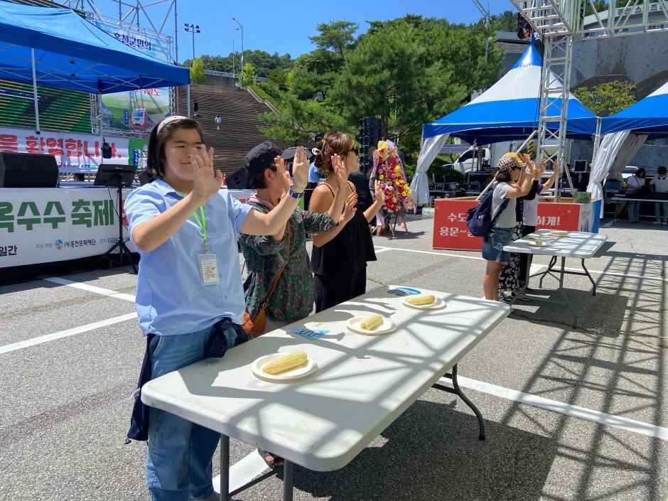홍천 찰옥수수 축제 2026