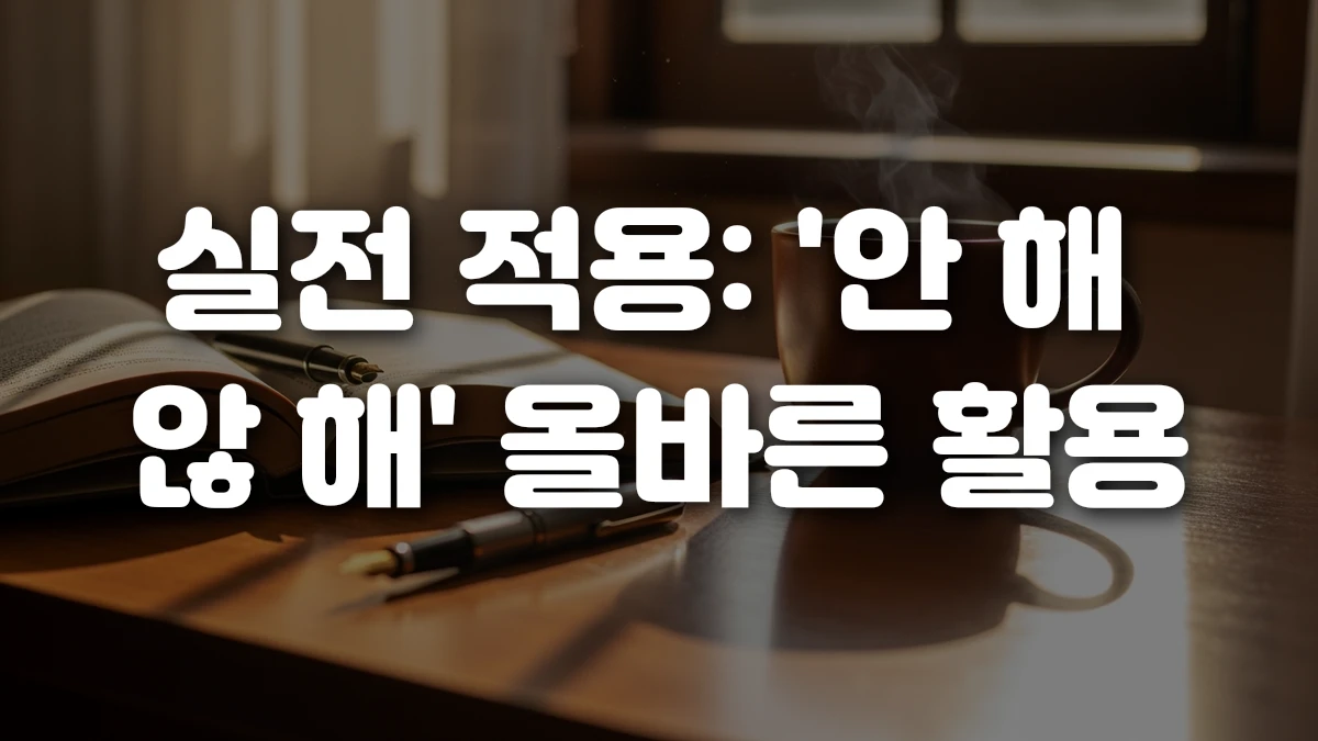 실전 적용 안 해 않 해 올바른 활용