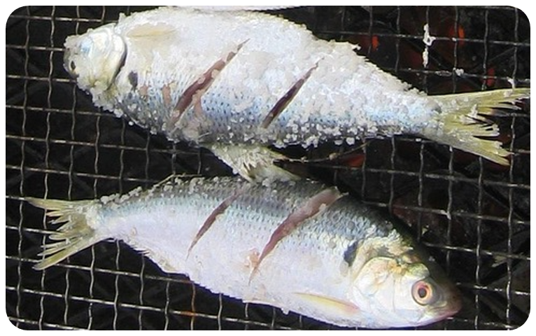 전어 섭취 방법과 권장량