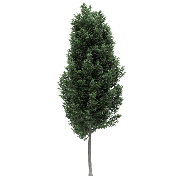 etc-image-4
