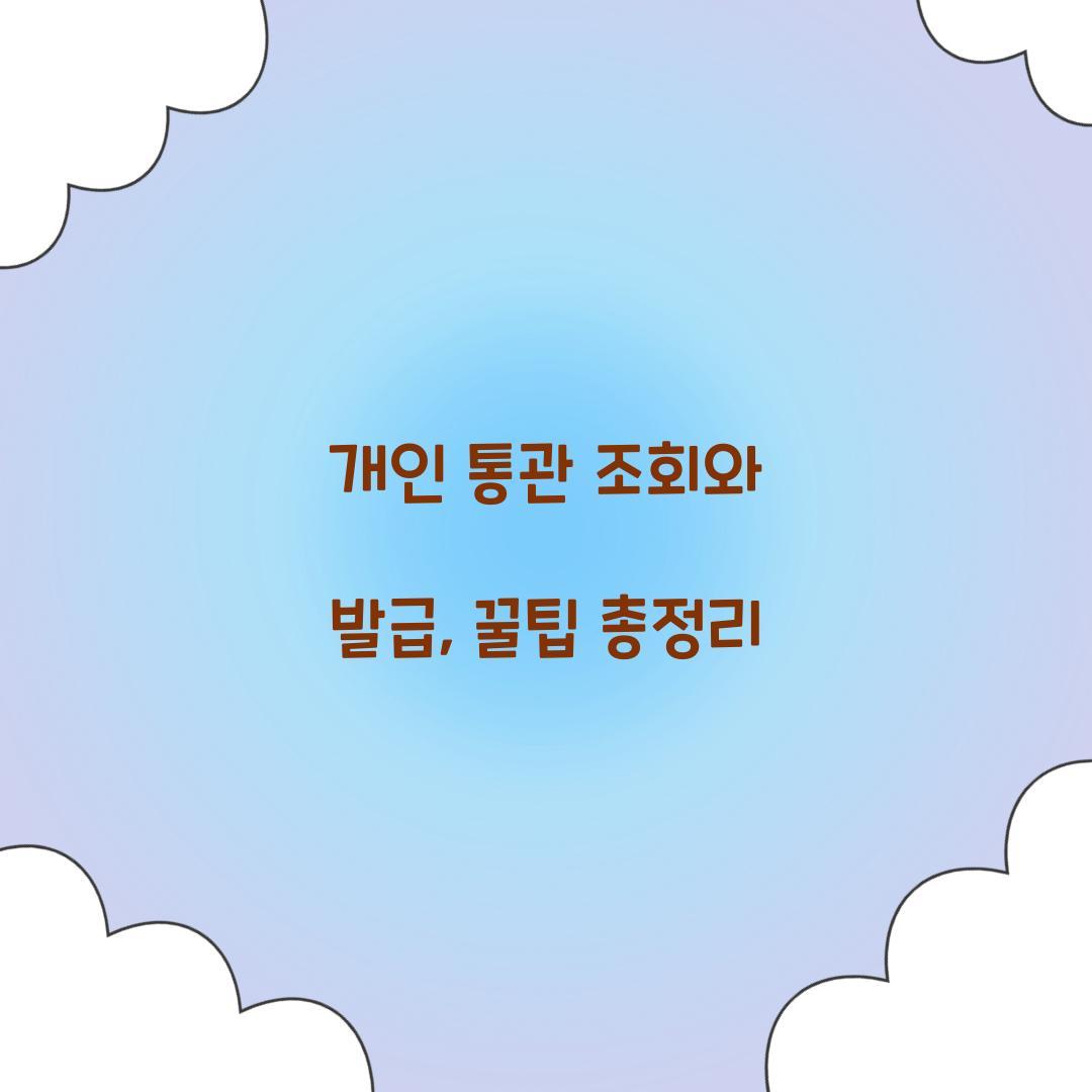 개인 통관 조회