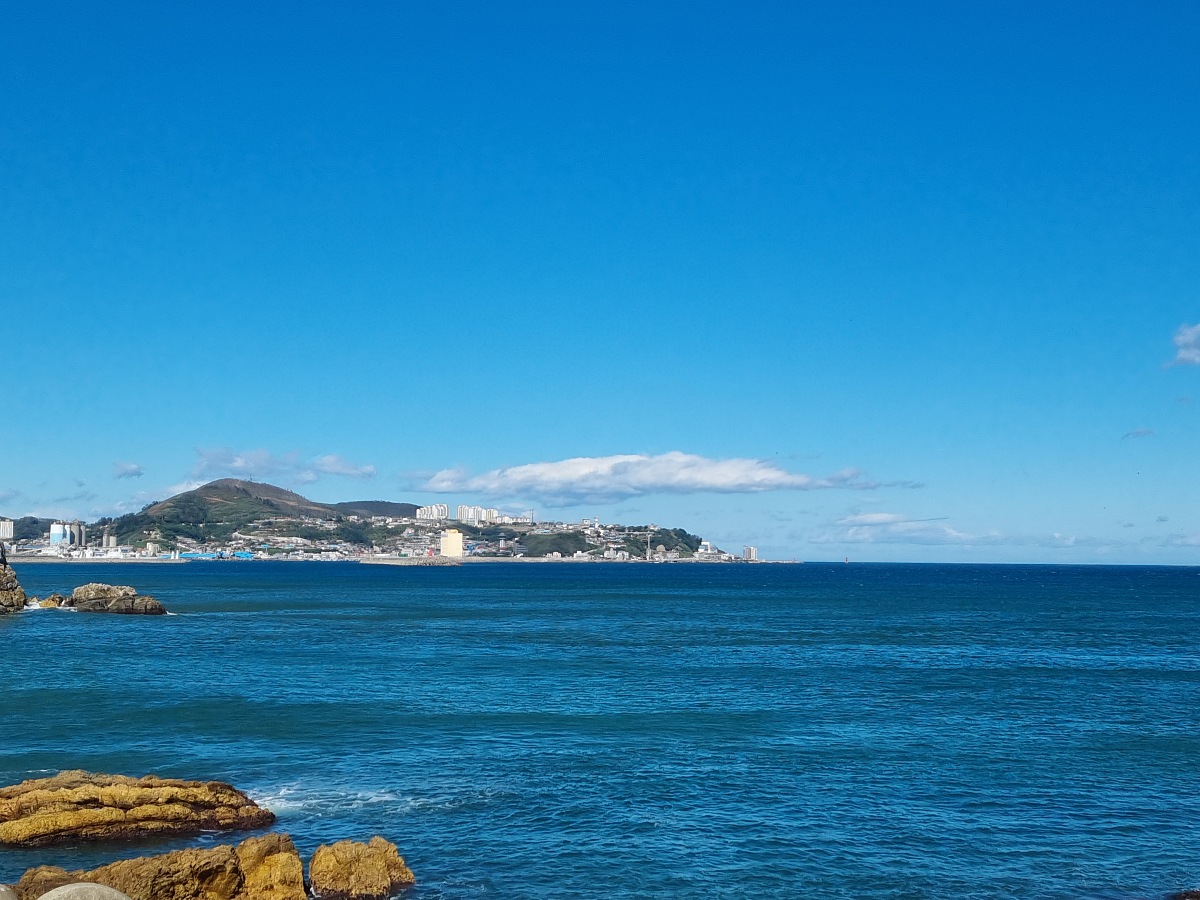 동해 가볼만한곳 천곡항 후기 ❘ 수상 레저와 감성돔 낚시, 작은 항구 매점