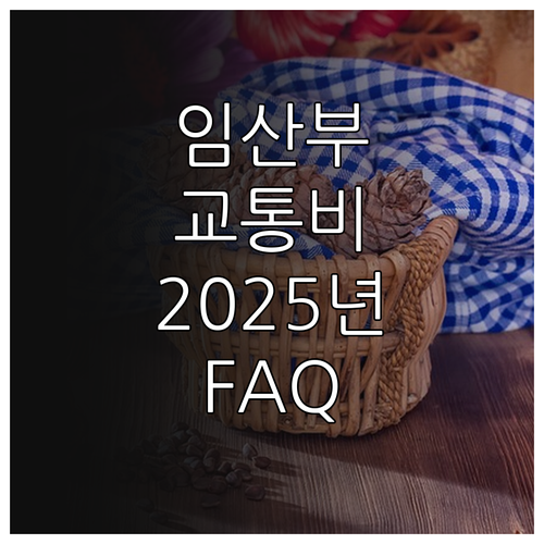 2025 서울시 임산부 교통비: 지원..