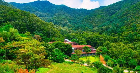 홍천 힐리언스 선마을