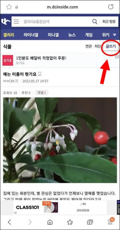 디시-식물갤러리