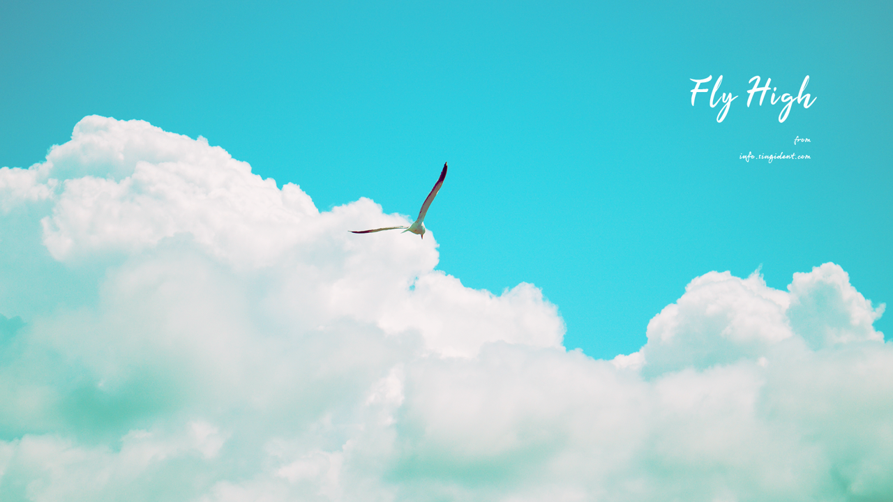 01 푸른 하늘 갈매기 C - Fly High 하늘배경화면