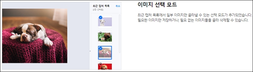 이미지 목록