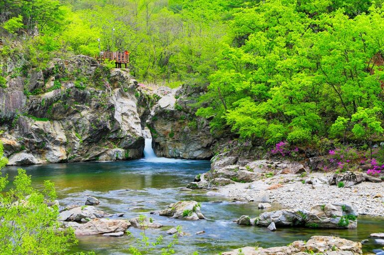 양구 DMZ 평화의 길 26코스