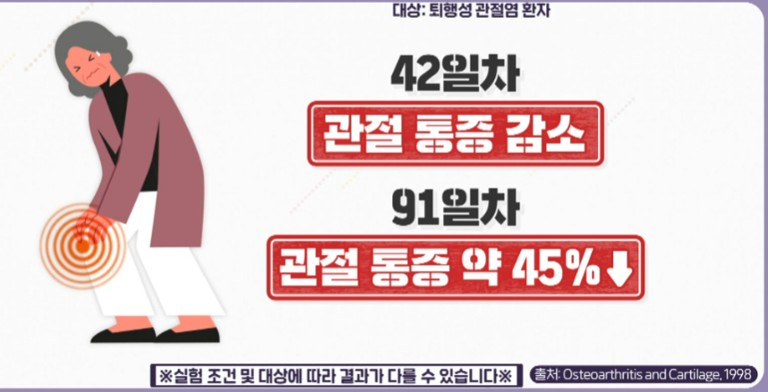콘드로이친