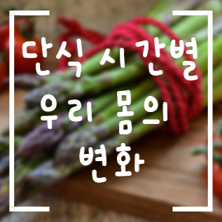단식을 하면 우리 몸에 어떤 변화가 생길까? 썸네일
