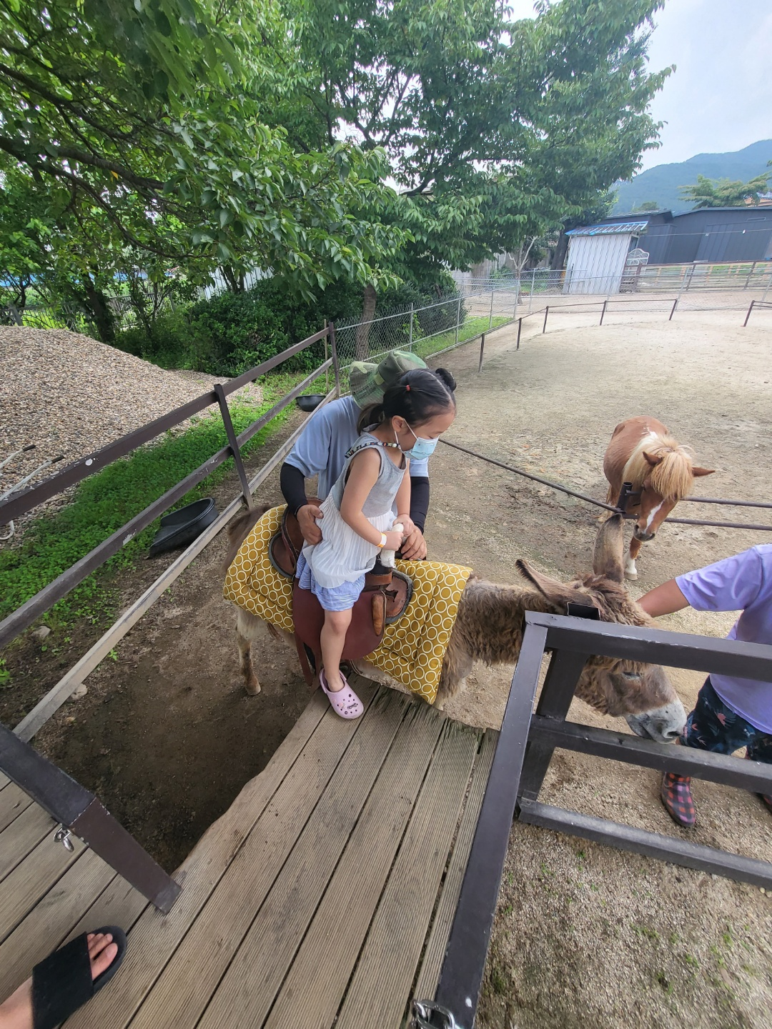더플레이그라운드