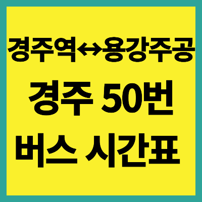 경주 50번 버스 시간표