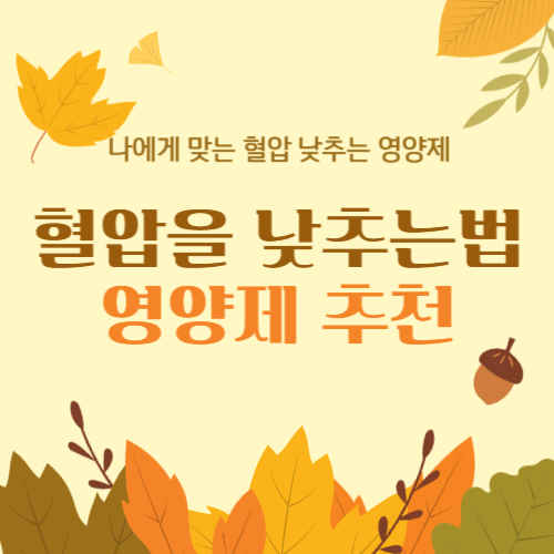 혈압 낮추는 법 (오메가3, 마그네슘, 코엔자임 Q10)