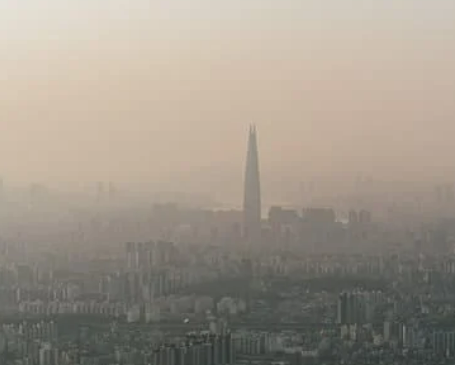 강아지 쌕쌕 켁켁거림&amp;#44; 혹시 천식? 보호자가 꼭 알아야 할 모든 것