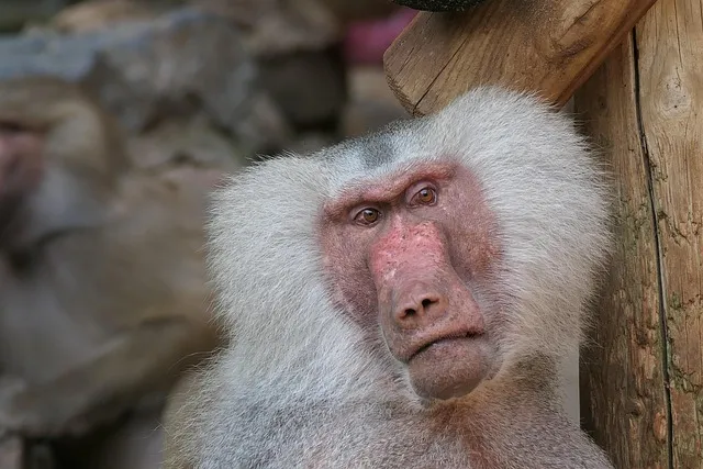 아산스파비스 온천 물놀이 준비 및 스파포레 글램핑 정보_6