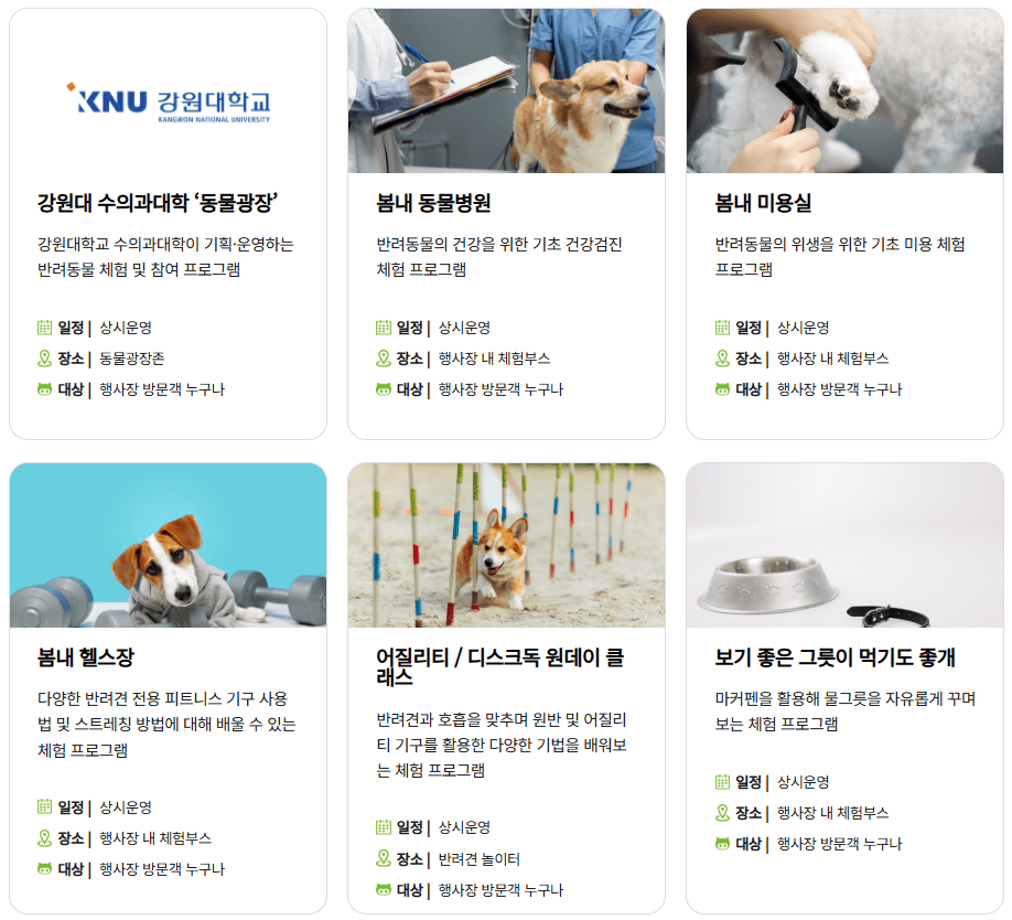 이번 주말, 반려인 필수 방문! 2025 춘천 반려동물 페스티벌 프로그램&참여 방법