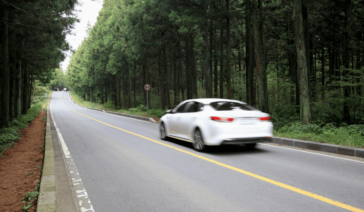 제주도_렌트카_비교사이트_12