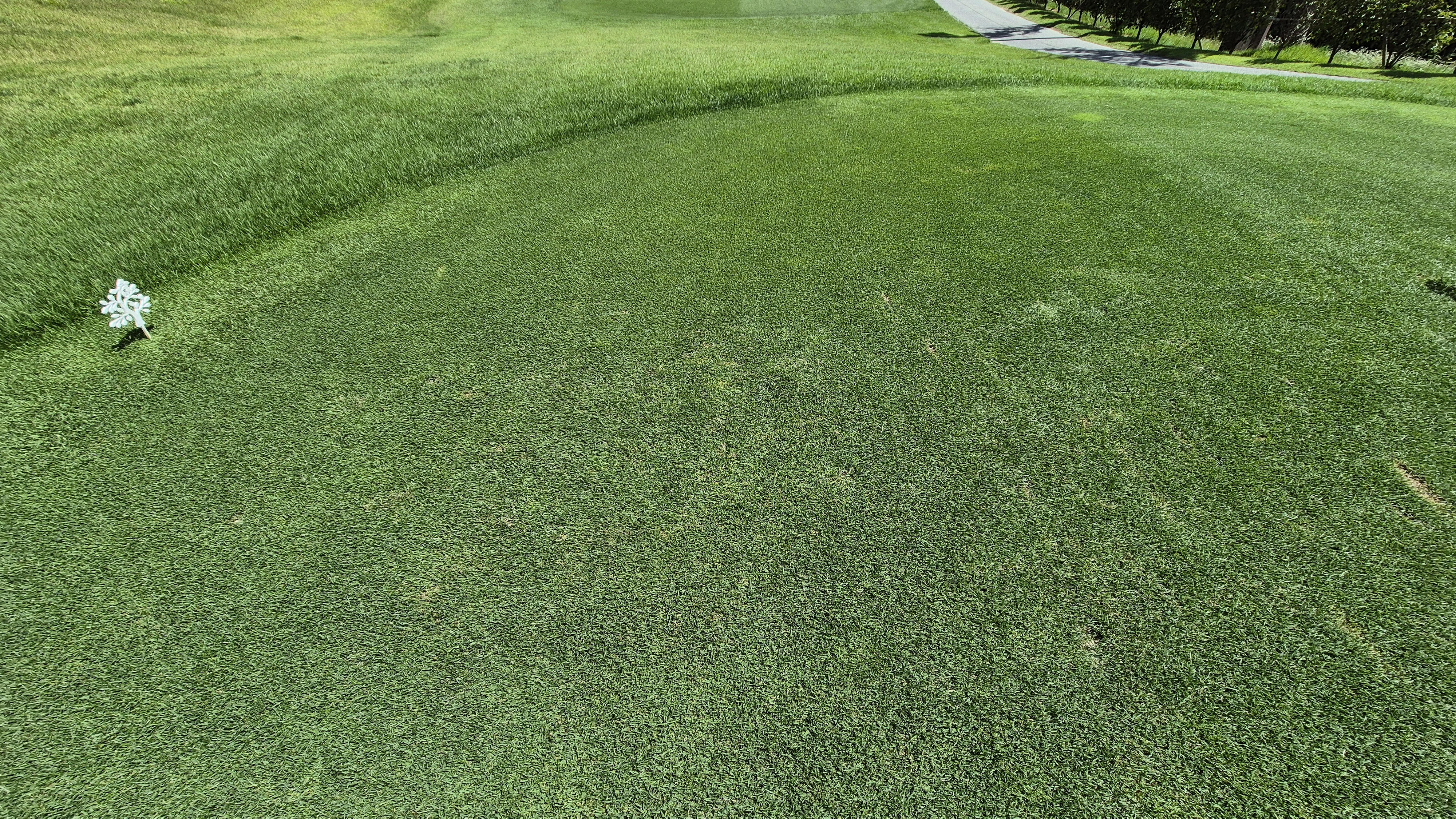 SG 아름다운cc 라운드 후기