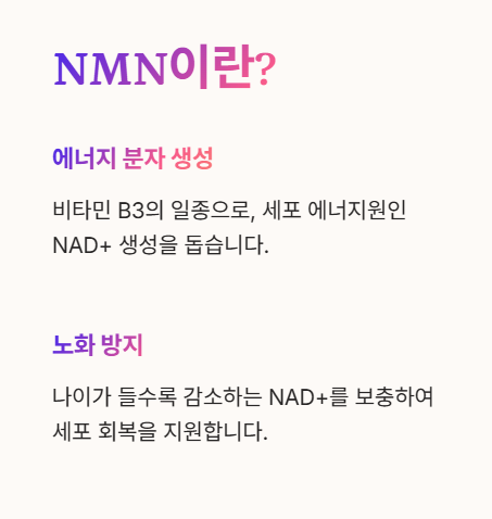 NMN이란?