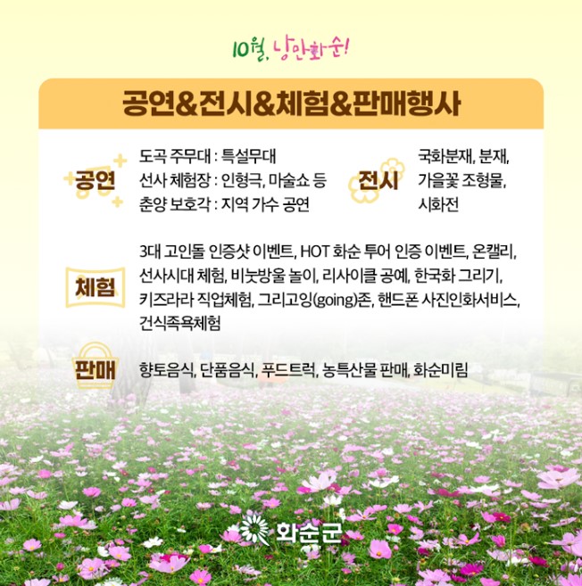 2024 화순 고인돌 가을꽃 축제
